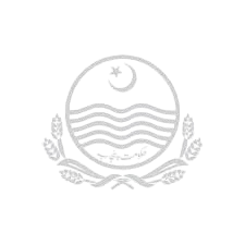 images 10 removebg preview